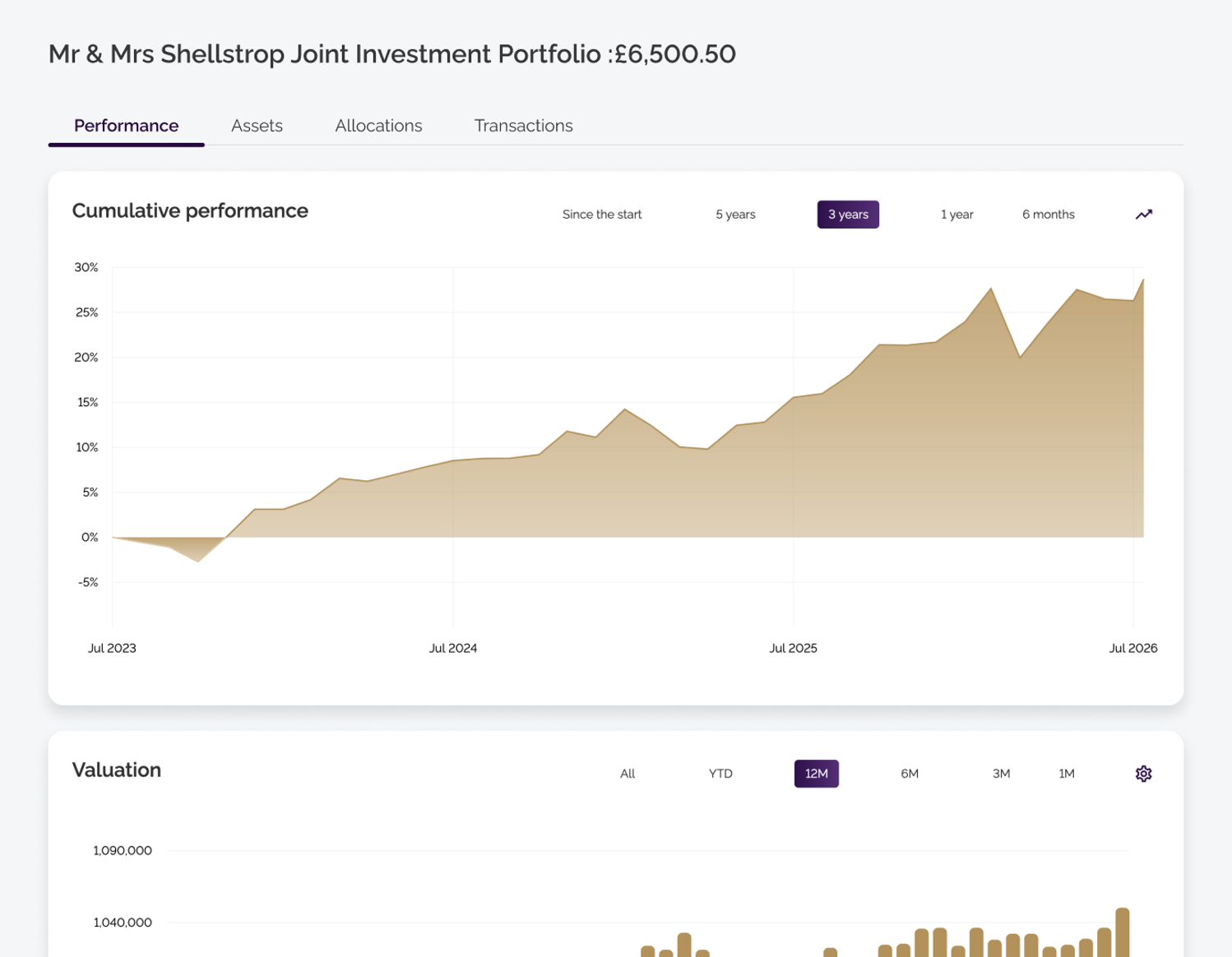 Portfolio Details 1 (1)
