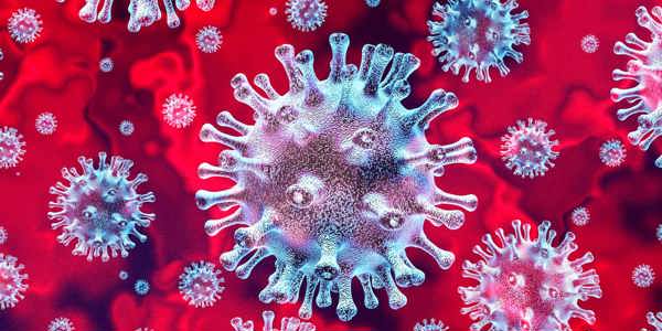 coronavirus-pulse-feb