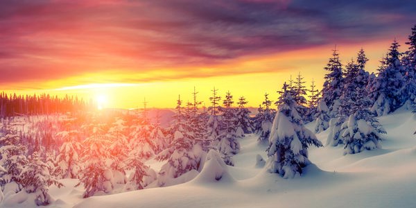 christmas-trees-snow-sunset